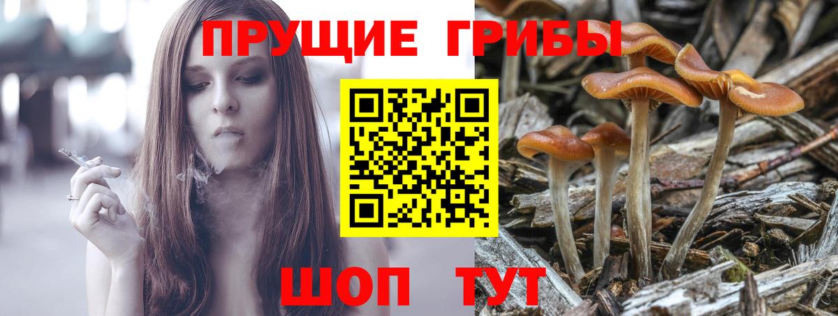 Крымск  Псилоцибиновые грибы GOLDEN TEACHER  цена наркотик  Вход с VPN 